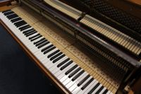 Grotrian-Steinweg 110 br j