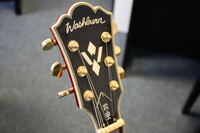 Washburn HB 35 b